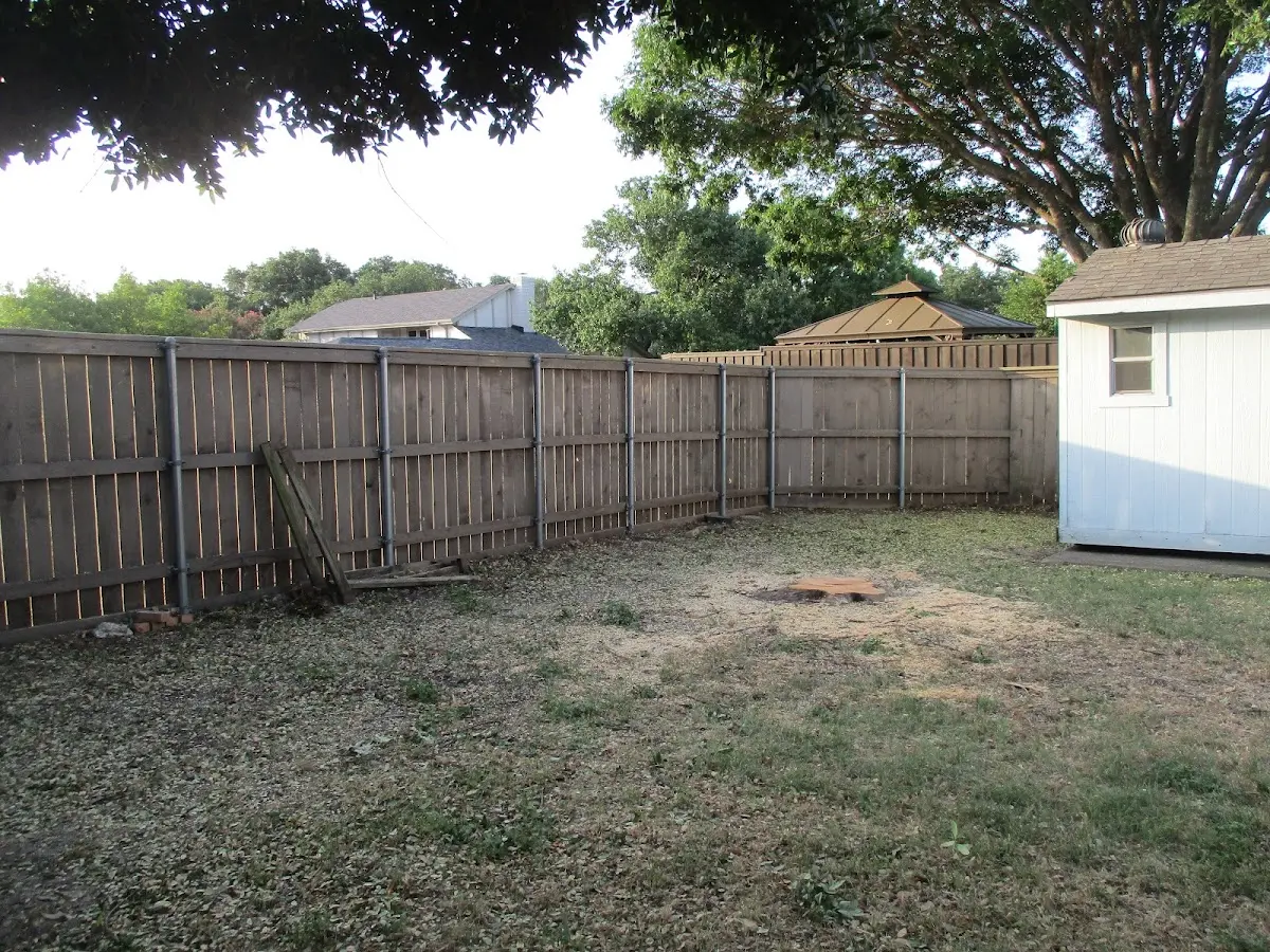 Cleared yard after professional tree removal in Bankston